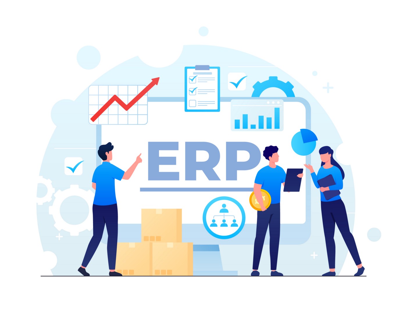 ERP development